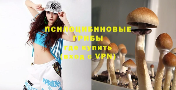дурь Балахна