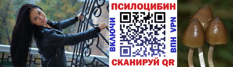 Псилоцибиновые грибы Psilocybe  сайты даркнета телеграм  Минусинск 